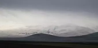 Kars, Ağrı ve Ardahan'da Kar ve Sis Etkili Oldu