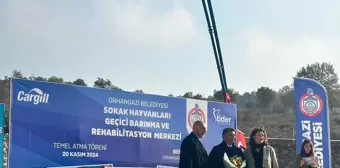 Bursa Orhangazi'de Sokak Hayvanları Rehabilitasyon Merkezi Açılıyor