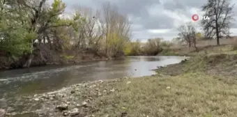 Edirne'de Tunca Nehri'nde Kuraklık Alarmı