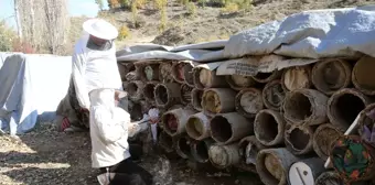 Bitlis'te Karakovan Balı Hasadı Başladı