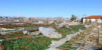 Hortumun verdiği zarar gün ağarınca ortaya çıktı