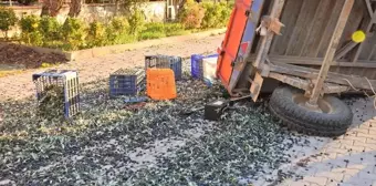 Erdek'te Zeytin İşçilerini Taşıyan Traktör Römorku Devrildi: 5 Yaralı