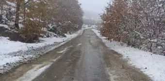 Bilecik'in Yüksek Kesimlerinde Kar Yağışı Etkili Oldu