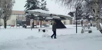 Erzurum'da Yoğun Kar Yağışı Hayatı Olumsuz Etkiliyor