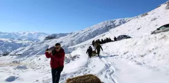 Tortum'da Yaban Hayvanları İçin Kış Yiyecek Bırakıldı