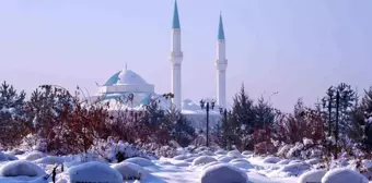 Erzurum'da Buzlu Soğuklar Hayatı Olumsuz Etkiliyor