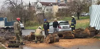 Avcılar'da Devrilen Ağaç İtfaiye Ekipleri Tarafından Kesilerek Kaldırıldı