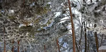 Erzurum'un Aşkale İlçesinde Yaz Gündüzleri Kış Geceleri