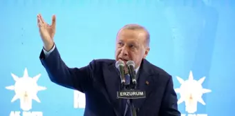 Cumhurbaşkanı Erdoğan: 'Baas rejimi tarihe karıştı'