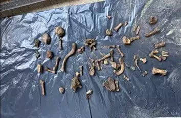 Emrah Elveren cinayeti 4 yıl sonra aydınlandı! Arkadaşının bahçesinde kemikleri çıktı