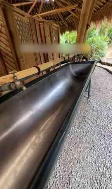 Bu tuvalet görenleri hayrete düşürdü! Sifon bile yok peki nasıl temizleniyor?