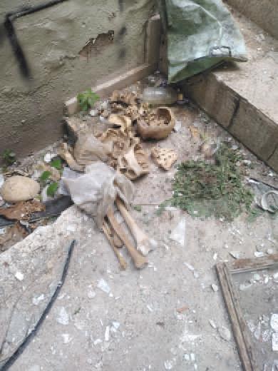 Metruk binada 3 insana ait kafatası ve kemikler bulundu