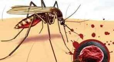 Sivrisineklerdeki gizli tehlike! Sıtma nedir ve neden olur?