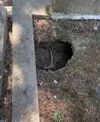 İstanbul'un göbeğindeki mezarlıkta isyan ettiren görüntüler