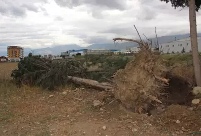 Hatay'da Şiddetli Fırtına Hayatı Felç Etti