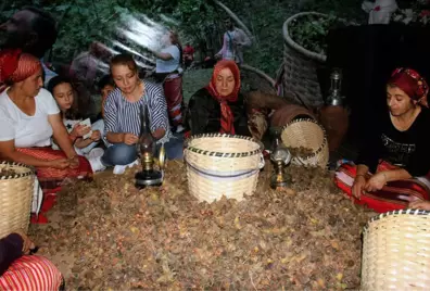 Fındığın Başkentinde 'Fındık Festivali'