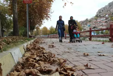 Sonbahar Yaprakları 3 Gün Boyunca Süpürülmeyecek