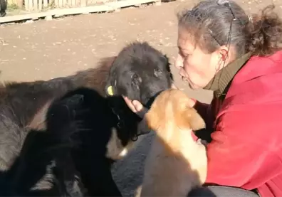 Doğuştan Gözleri Olmayan Köpeğe Evladı Gibi Bakıyor