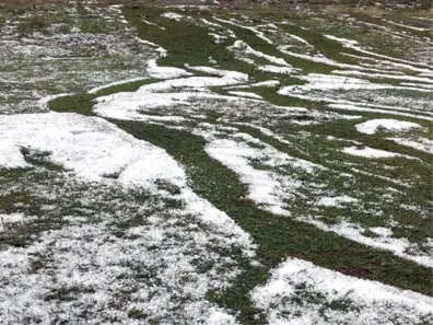 Ardahan'da Dolu Etkili Oldu