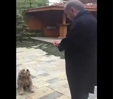 Erdoğan Küçük Köpeği Böyle Besledi