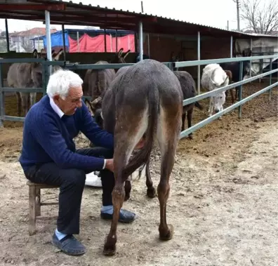 Eşeğin Sütünü de Sütünden Elde Ettiği Sabunları da Satıyor