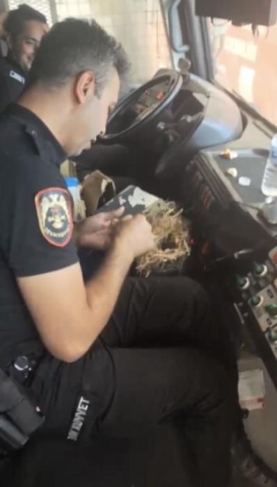 Yangının ortasında kuş yuvasını kurtardılar