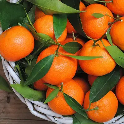 Herkes aynı soruyu soruyor: Turuncu mandalinalara ne oldu?