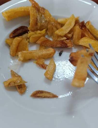 KYK yurtlarında skandal bitmiyor! Fareler cirit atıyor, yemeklerden çıkanlar mide bulandırıyor