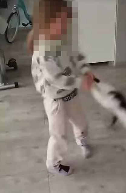 Küçük kız kediye işkence yaptı, annesi gülerek kayda aldı