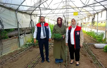 Düzce'de Kadın Üreticilerin Sera Ziyareti