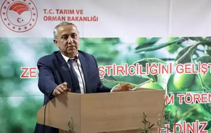 Samsun'da Zeytin Yetiştiriciliği Gelişiyor