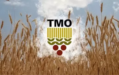 Toprak Mahsulleri Ofisi'nde (TMO) buğday ve arpa alımı ne zaman? Serbest piyasada son durum ne?