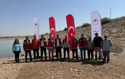 Atatürk Baraj Göleti'ne 1 Milyon 75 Bin Balık Yavrusu Salındı