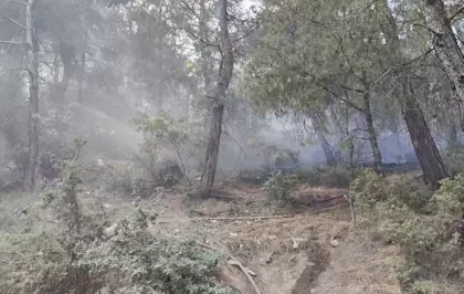 Balıkesir İvrindi'de Orman Yangını Kontrol Altına Alındı