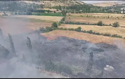 Malatya'nın Doğanşehir İlçesinde Arazi Yangını Söndürüldü