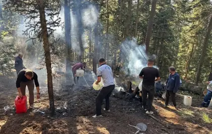 Kastamonu'da Orman Yangını Kısa Sürede Söndürüldü