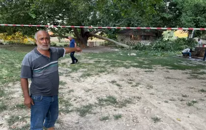 Piknikte Ağaç Daldan Yaralanan 11 Kişi Hastaneye Kaldırıldı