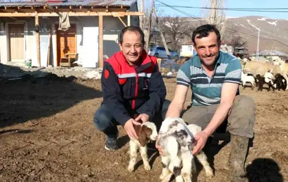 Erzincan'da Koyunculuk Projesine Kredi Desteği Arttırıldı