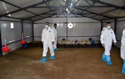Muş'ta Kaz Yetiştiriciliği Projesinin Kapanış Programı Gerçekleştirildi