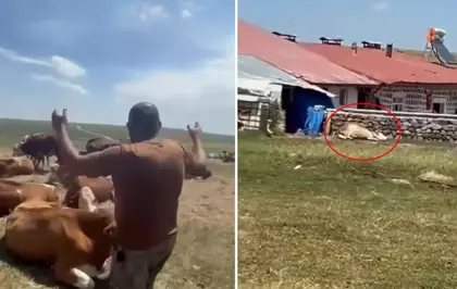 Bir ilimizde durum vahim! ''Nerede bu yetkililer?'' diyerek isyan etti: Allah sen yardım et