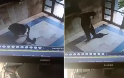 Kediyi vahşice öldüren caninin ifadesi ortaya çıktı: Onu can düşmanım gibi gördüm