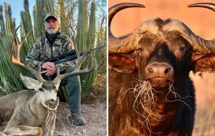 ABD'li milyarder avcı, 1.5 tonluk buffalo tarafından öldürüldü