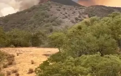 California'daki Orman Yangınında Kontrol Sağlanamıyor