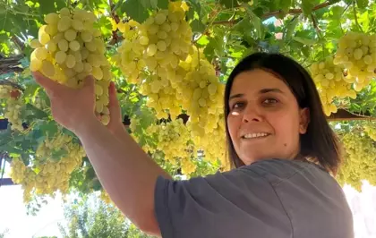 Muhtar Ayşe Yılmaz Gönen, Bağcılıkta Başarı Gösteriyor