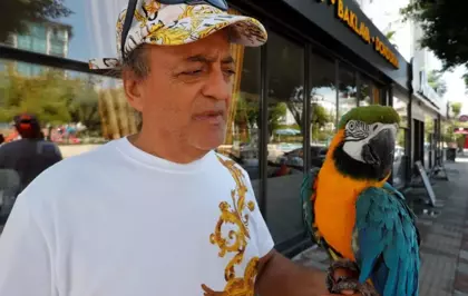 Kaybolan Turgut Özal'ın papağanından haber var