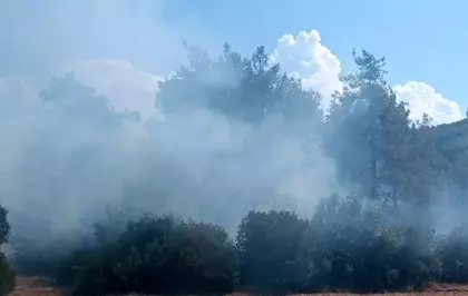 Kahramanmaraş'ta Orman Yangını Kontrol Altına Alındı