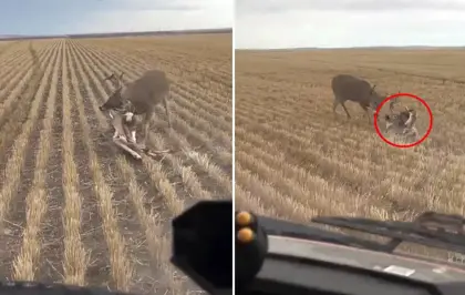 Nasıl olduğuna kimse anlam veremiyor: Bozkırın ortasında dehşete düşüren görüntü