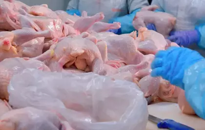 Türkiye'nin dev tavuk markası konkordato ilan etti