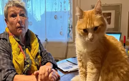Dünyanın ilk mahpus kedisi! Komşusunu canından bezdirdi, hapsi yedi