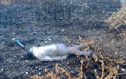 Mersin'de kaza yapan araç otoyolda, sürücüsü 30 metrelik köprünün altında ölü bulundu